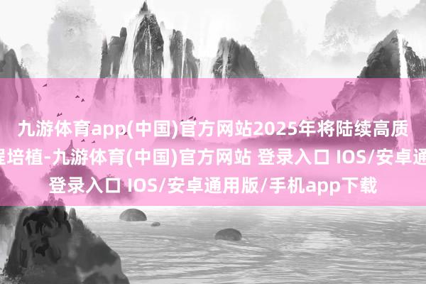 九游体育app(中国)官方网站2025年将陆续高质地鼓舞国度重心工程培植-九游体育(中国)官方网站 登录入口 IOS/安卓通用版/手机app下载