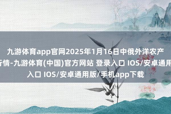 九游体育app官网2025年1月16日中俄外洋农产物往复中心价钱行情-九游体育(中国)官方网站 登录入口 IOS/安卓通用版/手机app下载