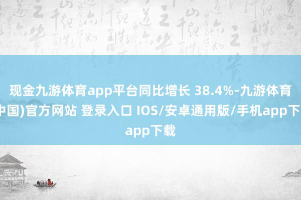 现金九游体育app平台同比增长 38.4%-九游体育(中国)官方网站 登录入口 IOS/安卓通用版/手机app下载