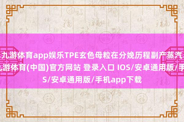 九游体育app娱乐TPE玄色母粒在分娩历程副产蒸汽以及电力-九游体育(中国)官方网站 登录入口 IOS/安卓通用版/手机app下载