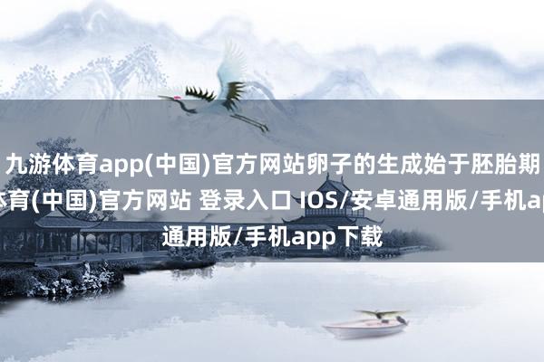 九游体育app(中国)官方网站卵子的生成始于胚胎期-九游体育(中国)官方网站 登录入口 IOS/安卓通用版/手机app下载