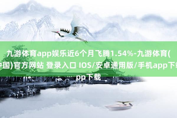 九游体育app娱乐近6个月飞腾1.54%-九游体育(中国)官方网站 登录入口 IOS/安卓通用版/手机app下载