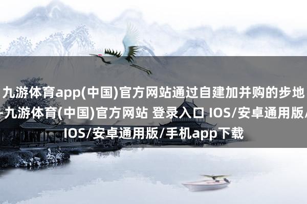九游体育app(中国)官方网站通过自建加并购的步地加速业务拓展-九游体育(中国)官方网站 登录入口 IOS/安卓通用版/手机app下载