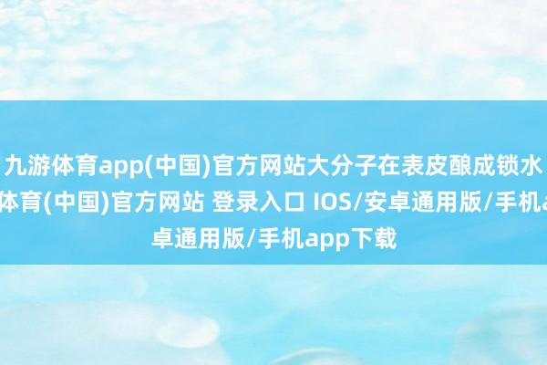 九游体育app(中国)官方网站大分子在表皮酿成锁水膜-九游体育(中国)官方网站 登录入口 IOS/安卓通用版/手机app下载